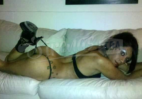 Milagros Trans Perfil Escort